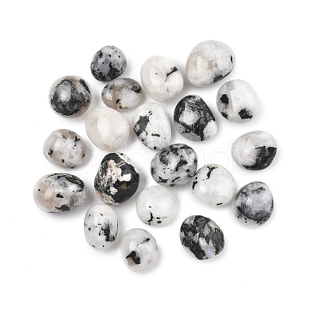 Natural Rainbow Moonstone Beads G-G348-01A-30-1