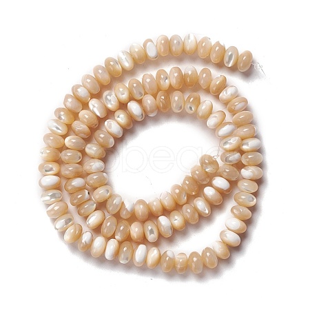 Natural Trochid Shell/Trochus Shell Beads Strands SSHEL-O001-24A-01-1