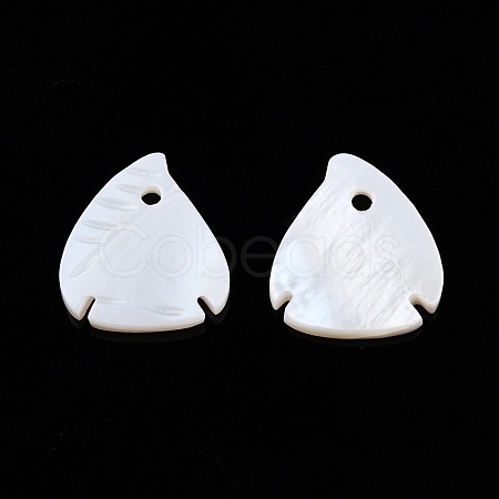 Natural Freshwater Shell Charms SHEL-N026-202-1