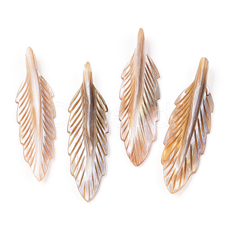 Natural Freshwater Shell Pendants SHEL-N026-140-1