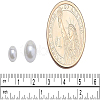 Eco-Friendly Dyed Glass Pearl Round Beads HY-BC0001-6mm-RB011-6