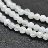 Natural Rainbow Moonstone Beads Strands G-O186-D02-3
