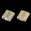 2-Hole Glass Seed Beads SEED-S023-39C-04-2