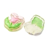 Transparent Resin Cabochons CRES-I046-09-3