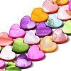 Natural Freshwater Shell Beads Strands SHEL-S278-024B-1