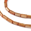 Natural Freshwater Shell Dyed Beads Strands SHEL-M018-11-11-3