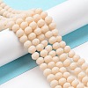 Glass Beads Strands EGLA-A034-P8mm-MD05-2