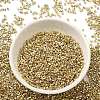 Electroplate Glass Seed Beads SEED-S042-01B-11-2