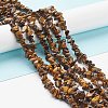 Natural Tiger Eye Chips Beads Strands LS-F012-2-4