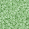 FGB Frosted Transparent Glass Seed Beads SEED-N013-02A-08-3