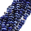 Natural Sodalite Beads Strands G-E569-J22-1
