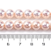 UV Plating Pearlized Glass Pearl Beads Strands GLAA-F128-01B-T09-2