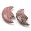 Natural Rhodonite Beads G-T132-018-2