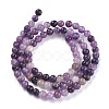 Natural Lepidolite/Purple Mica Stone Beads Strands G-K415-4mm-3