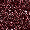 FGB 11/0 Grade A Glass Seed Beads X-SEED-S030-1212-2