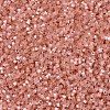 MIYUKI Delica Beads SEED-X0054-DB1863-3