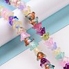 Transparent Glass Beads Strands LAMP-H061-01A-02-2