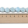 Handmade Porcelain Beads Strands X-PORC-Q002-01A-05-3
