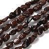 Natural Mahogany Obsidian Beads Strands G-P497-01E-87-1