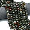Natural African Bloodstone Beads Strands LS-G-P573-B13-01-1