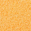 MIYUKI Delica Beads SEED-MY11-DB2032-2