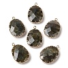 Natural Labradorite Faceted Pendants G-Q169-01G-03-1