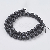 Natural Larvikite Beads Strands G-G542-10mm-27-2