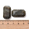 Natural Labradorite Pendants G-H325-03-06-3