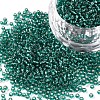 11/0 Grade A Transparent Glass Seed Beads X-SEED-Q007-F51-1