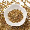 Glass Seed Beads SEED-H002-A-A622-2