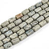 Natural Variscite Beads Strands G-N346-01B-14-2