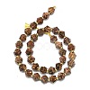 Natural Starburst Jasper Beads Strands G-I376-A60-01-2