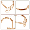 100Pcs 316L Surgical Stainless Steel Leverback Earring Findings STAS-BBC0010-61G-7