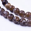 Natural Agate Bead Strands X-G-P289-02D-8mm-3