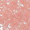 Glass Seed Beads SEED-H002-E-A1405-3