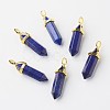 Natural Lapis Lazuli Double Terminated Pointed Pendants X-G-G902-B02-2