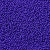 MIYUKI Round Rocailles Beads X-SEED-G009-RR0417-4