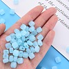 Imitation Jelly Acrylic Beads MACR-S373-98-E08-6