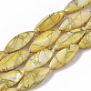 Drawbench Freshwater Shell Beads Strands X-SHEL-T014-008B-05-1