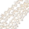 Natural Cultured Freshwater Pearl Beads Strands PEAR-J007-41-1
