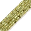 Natural Peridot Beads Strands G-E591-05-1