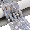 Natural Blue Lace Agate Beads Strands G-P497-01E-71-2