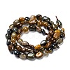 Natural Pietersite Beads Strands G-G018-28-3