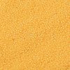 TOHO 15/0 Round Beads SEED-XTR15-0148F-2