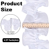 2M Organza Ribbon OCOR-WH0070-167C-2