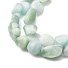 Natural Glass Beads Strands G-K395-A02-02-4