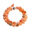 Natural Red Botswana Agate Beads Strands GG-CBA3921-B12-8mm-5