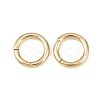 Brass Twister Clasp KK-Z146-04G-01-1