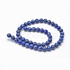 Natural Lapis Lazuli Beads Strands G-P335-09-8mm-2