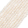 Natural Cultured Freshwater Pearl Beads Strands PEAR-L034-09A-2